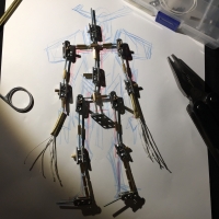 The Skeleton
