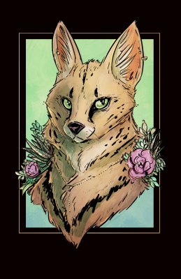 Ash-B-day-cat