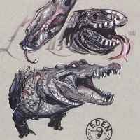 Reptiles